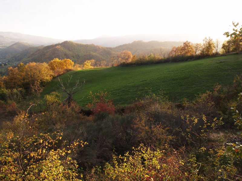 Oasi naturalistica del Carmine